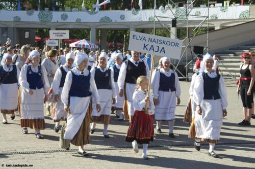 Tartu-laulupidu-2014-rongkaik-275