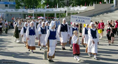 Tartu-laulupidu-2014-rongkaik-281