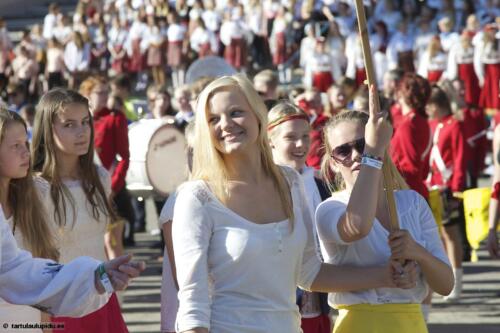 Tartu-laulupidu-2014-rongkaik-300