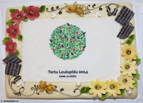 tartu laulupidu 2014 102